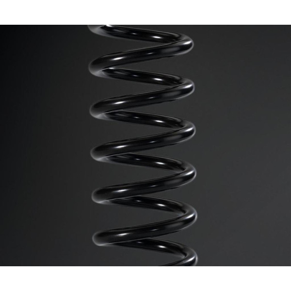 Kawasaki REAR SHOCK SPRING
